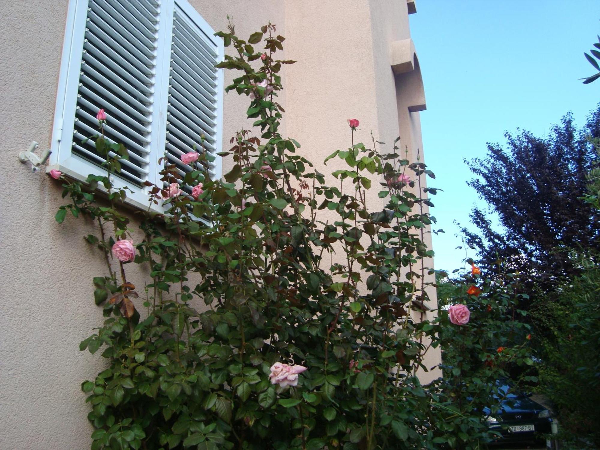 Apartments Eja Zára Kültér fotó